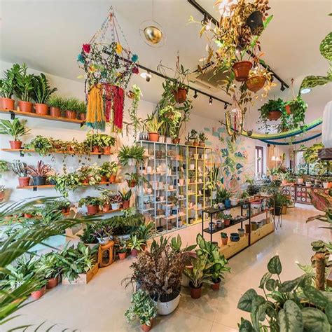 Shop planted. Things To Know About Shop planted. 